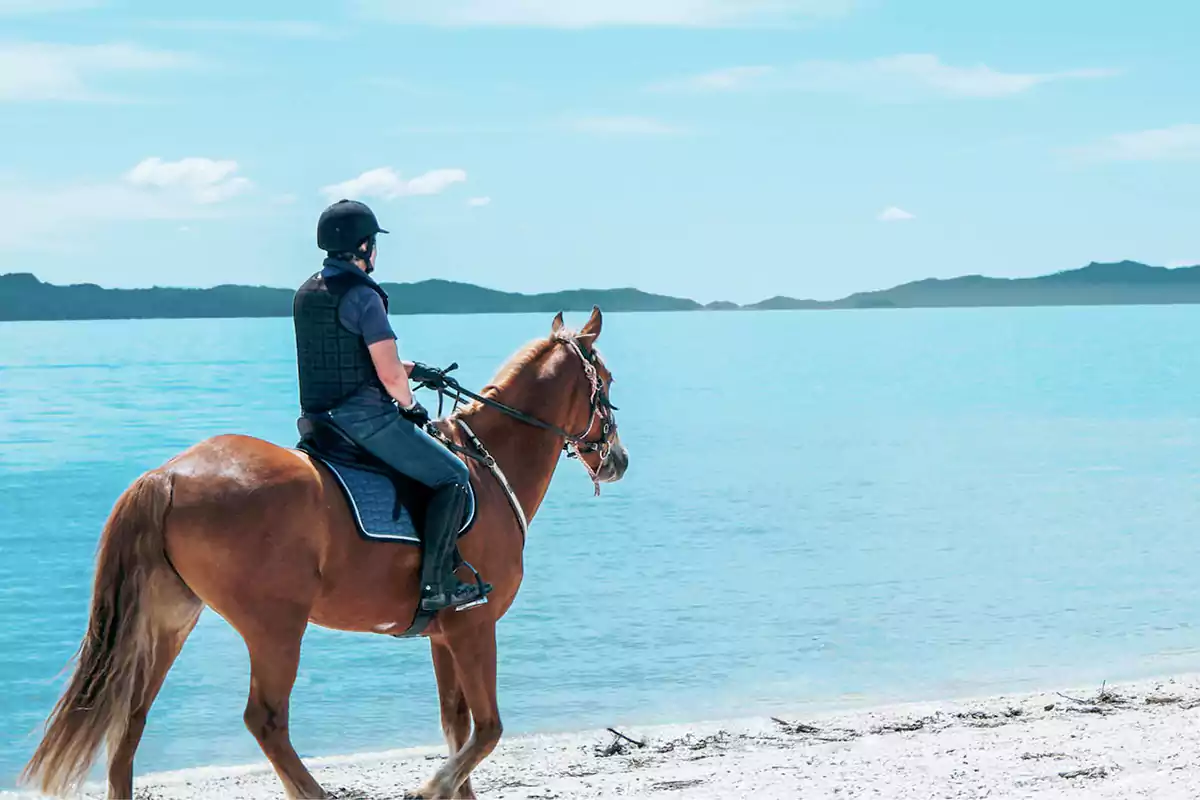 Horse Riding in Hurghada Beach and Desert Horseback Adventure Guide