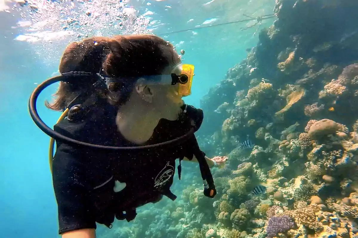 Red Sea Adventures in Hurghada The Ultimate Guide to Snorkeling, Desert Safari & Cultural Experiences